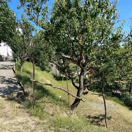 Casa de Férias Casa Petra - Casa Tre Stelle - Casa Caneva - Ferien Fuer 6-14 Personen Ponti